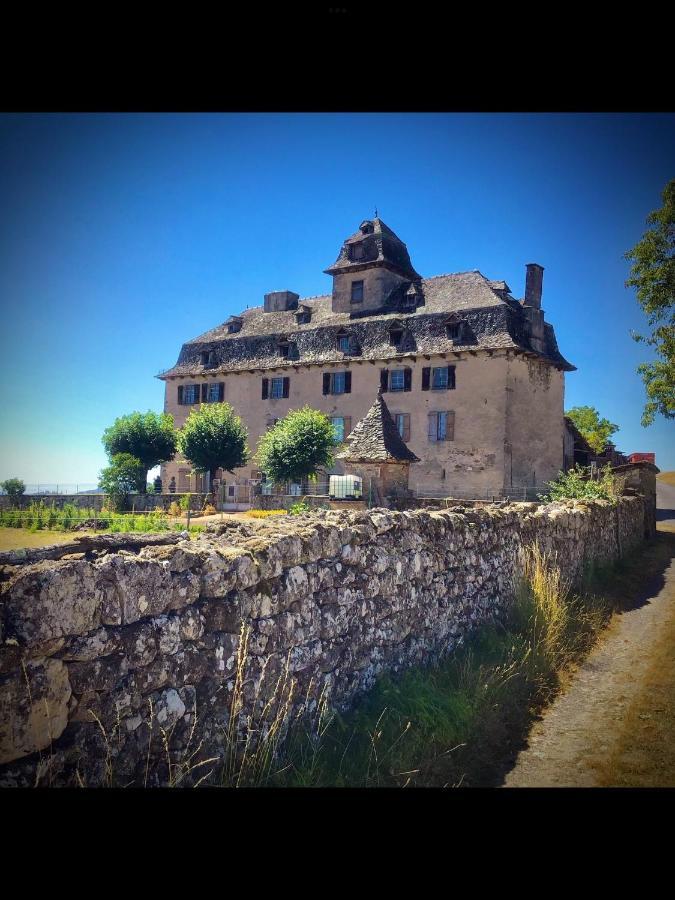 Chateau De Cours Sénezergues Exterior foto